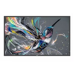 Philips 50 Inch QE Eco Series 4K 18/7 300nit Android Professional Display